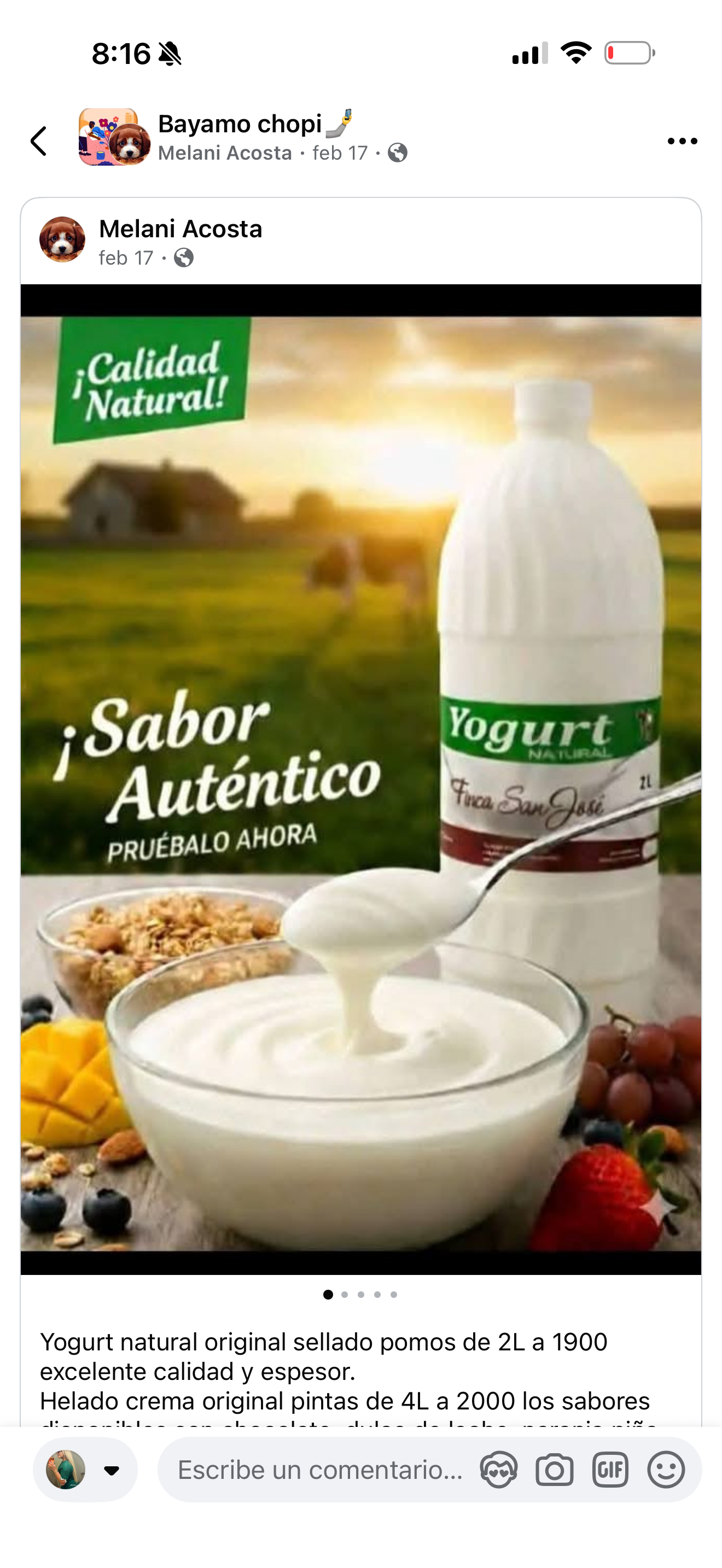 Yogurt natural